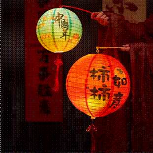 Camera_1040g34o31pmpki8ol0705ol3tu48c78592bjss8