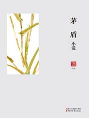 《茅盾小说（名家小说典藏）》